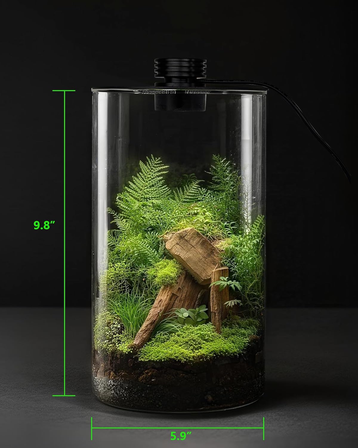 Indoor Glass Terrarium with Gr - đánh giá và giá Office Lighting Decor