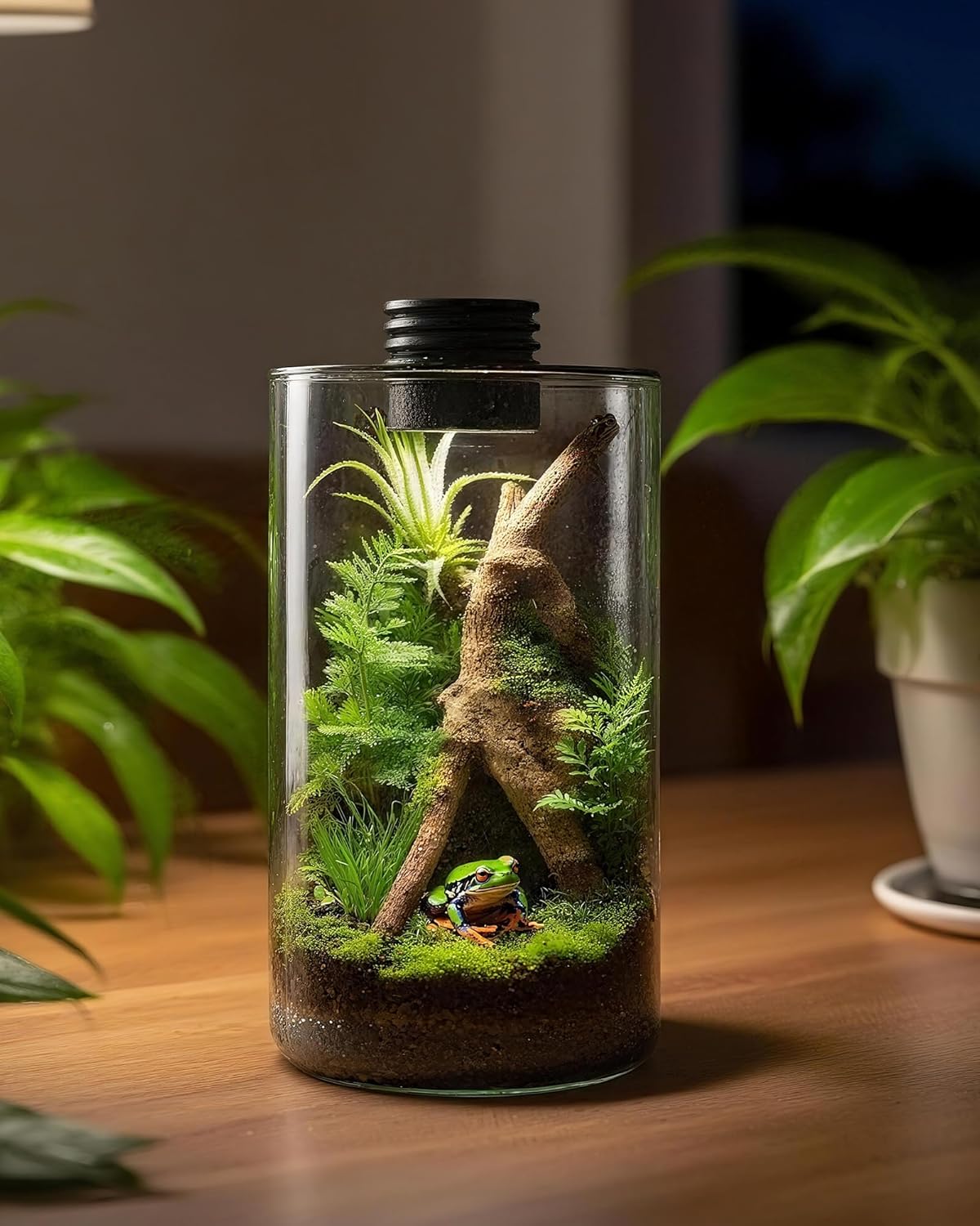 Indoor Glass Terrarium with Gr - đánh giá và giá Office Lighting Decor