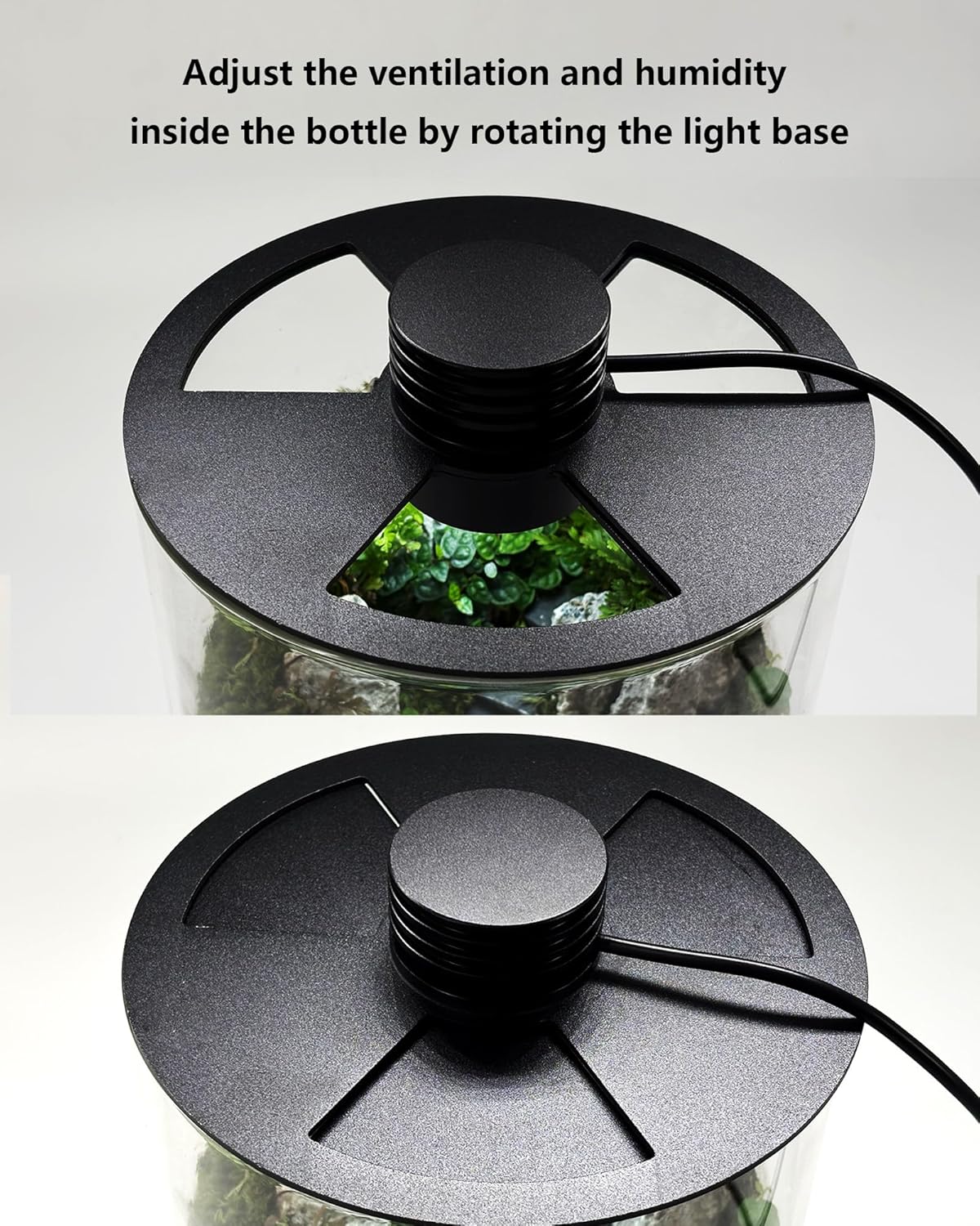 Indoor Glass Terrarium with Gr - đánh giá và giá Office Lighting Decor